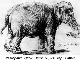 Рембрант «Слон»